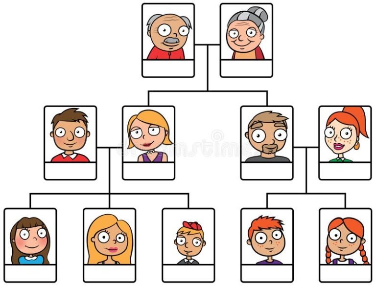 Quiénes son los herederos forzosos según el Código Civil argentino 2 arbol genealogico familiar ilustrado legalmente