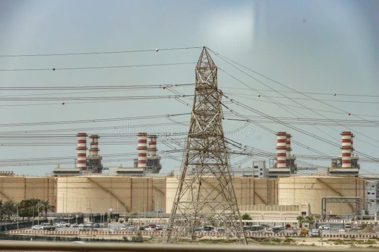 Qué servicios ofrece Pampa Energía en Puerto San Martín 3 Qué servicios ofrece Pampa Energía en Puerto San Martín