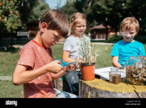 ninos explorando plantas en jardin escolar