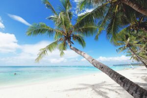 playa tropical con palmeras y arena blanca